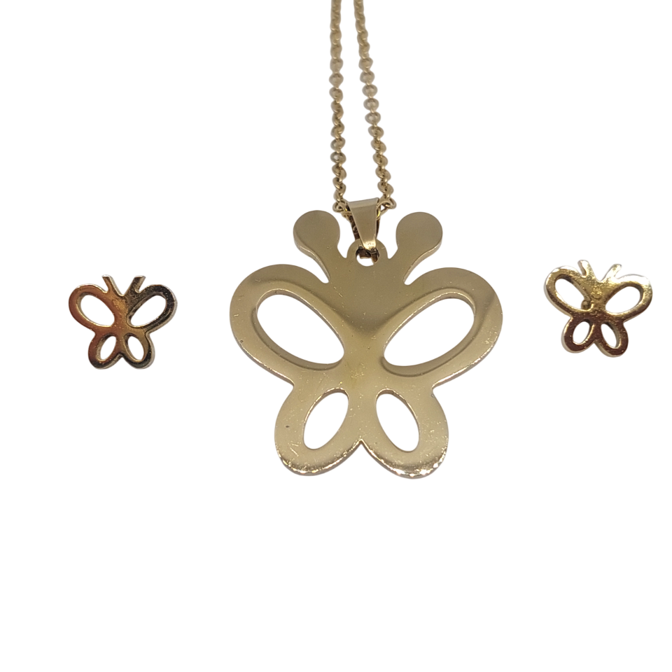 Conjunto de mariposa