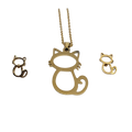 Conjunto de gato