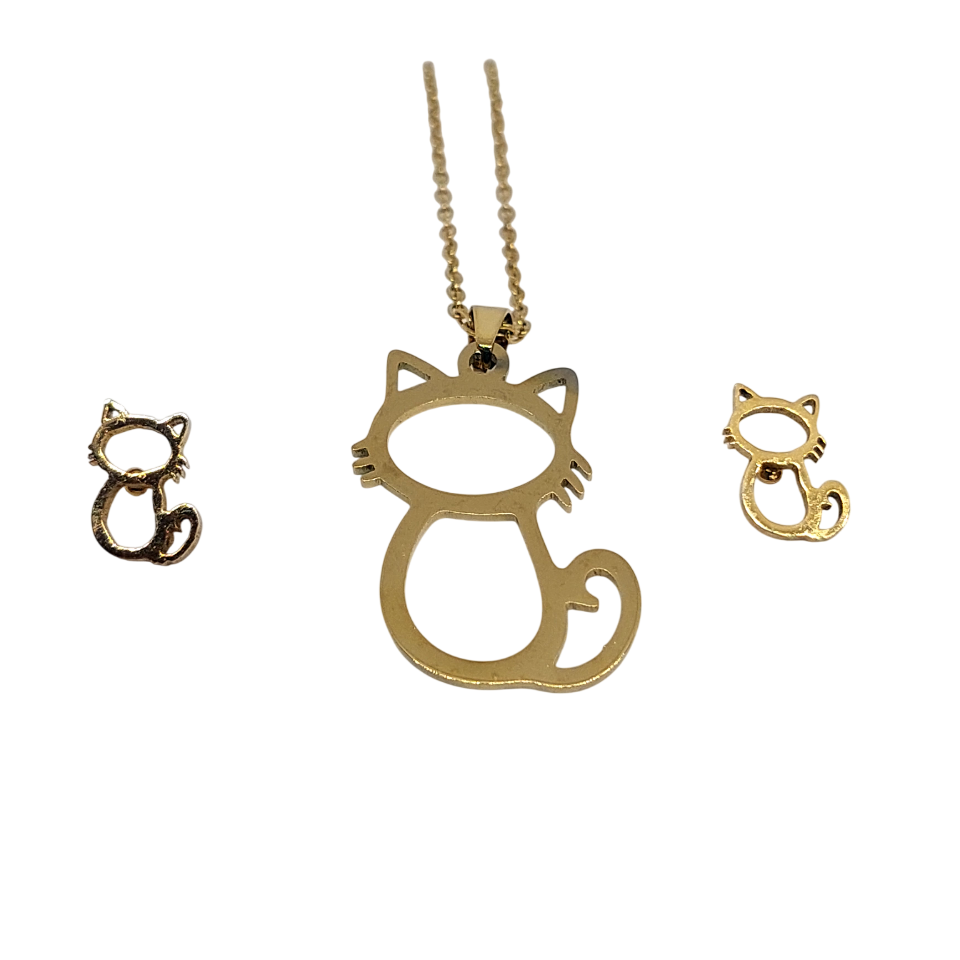 Conjunto de gato