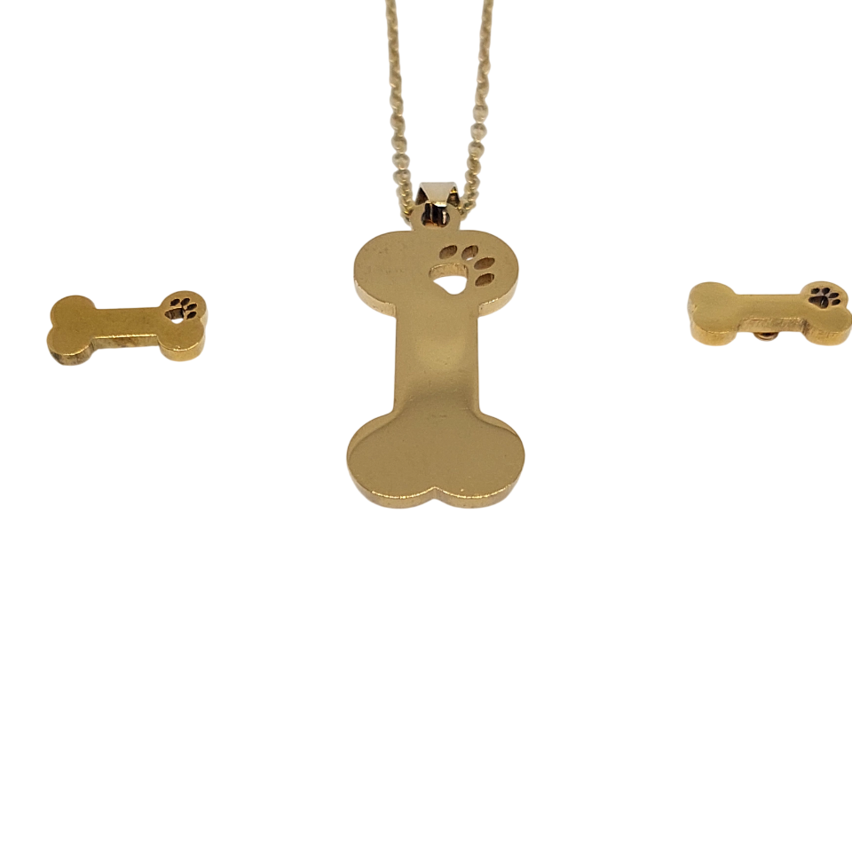 Conjunto de hueso de perro